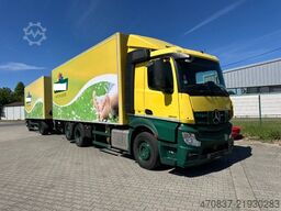 MERCEDES-BENZ Actros 2542 / Blumen / Heizung / Isoliert