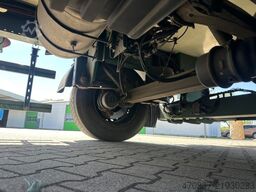 MERCEDES-BENZ Actros 2542 / Blumen / Heizung / Isoliert
