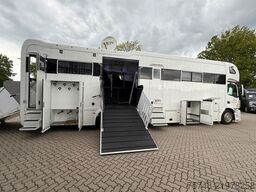 MERCEDES-BENZ ACTROS S  2640 STX  . POP-OUT,  6 Pferde