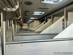 MAN TGX 26400 Roelofsen 12 Pferde