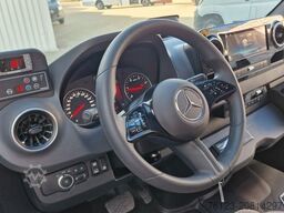 MERCEDES-BENZ 519 und 517 Glasdach XXL 20 Sitze Stock