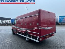 Mercedes-Benz SPRINTER 313 VRIESWAGEN
