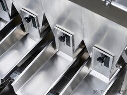 Impuls Packaging Linear Vibrations-Waage Vierkopf