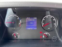 Scania P250 ECF BOX + TRS TWIN-COOL + DHOLLANDIA
