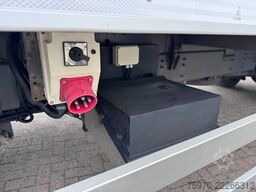 Scania P250 ECF BOX + TRS TWIN-COOL + DHOLLANDIA