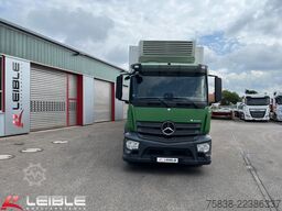 MERCEDES-BENZ Antos 1836*Kühlkoffer*Carrier Syberia*LBW*Kamera