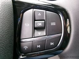 FORD Tourneo Custom Active 340L1 PHEV AHK Matrix 360K