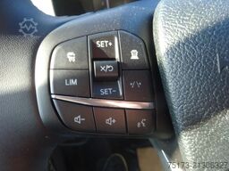 FORD Transit Koffer 350 L4 Einzelk Bi-Xenon Hecktüren