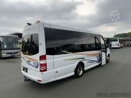 Mercedes-Benz Sprinter Altas