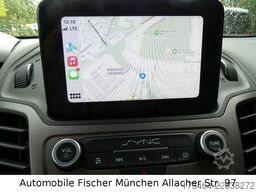 FORD Transit Connect Kasten Xenon Durchlade Sortimo