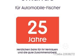 FORD Transit Connect Kasten Xenon Durchlade Sortimo
