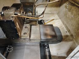 HAAS DT1
