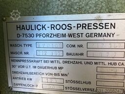 Haulick & Ross RVD 100