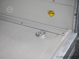 Debon CHEVAL LIBERTE DEBON C400 WABENKERN ROADSTER SCHWARZ +SEITENKLAPPE LINKS +SEITENTÜR