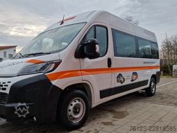 FIAT Ducato 9 Sitzer Mobility Airlineboden Rolli