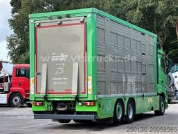 MERCEDES-BENZ Actros 2551 6x2 3.Stock FINKL Viehtransporter