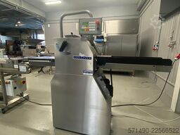 Gulliver IRIS 20