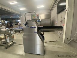 Gulliver IRIS 20