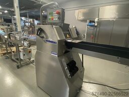 Gulliver IRIS 20