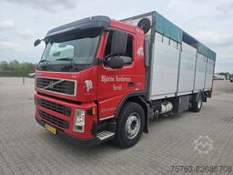 Volvo FM 300 4x2 - Livestock 1 deck - Euro 4 - I shift