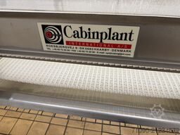 Cabinplant Conveyor