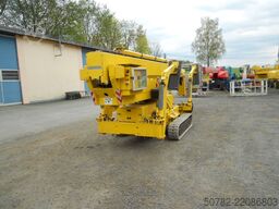 Teupen Leo 25 T plus