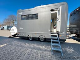  STX Trailer  3-4 Pferde Wohnung, Dusche