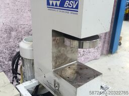 BSV 