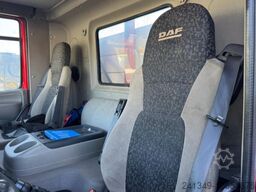 DAF CF 460 6x2 Fassi 290-4