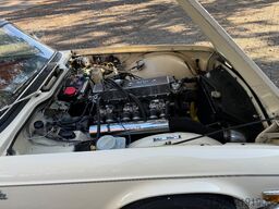 Leyland Triumph TR6-PI - 2.5 Benziner