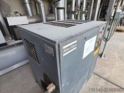 HUSKY No 2 HUSKY No1 παραγωγή πλήρης GL 300 PET