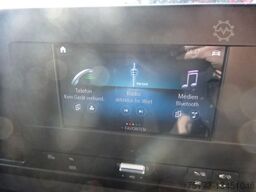 MERCEDES-BENZ Sprinter III 314 CDI FWD  TK Tiefkühler -29°