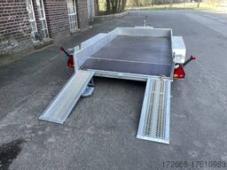  VARIANT 3516 B3 MAXI LOAD 300X162CM 3500kg