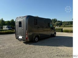 Opel Movano Krismar 1-2 Pferde Hengstversion/5 Sitze