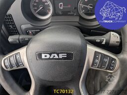 DAF XF 480