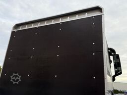 MAN TGX 26.540 6x2-4 LL Containerpritsche/Fassi 545