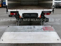 VOLVO FL 250 Koffer Rolltor LBW Euro 6