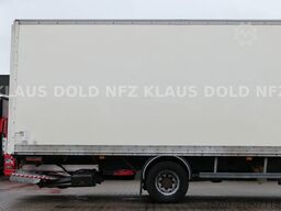 VOLVO FL 250 Koffer Rolltor LBW Euro 6