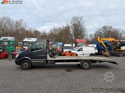 Wild Wood OU Wild Wood OU Wild Wood OU