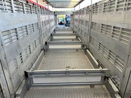 Finkl SAV35 4.Stock Hubdach Lift Tränke Tridec