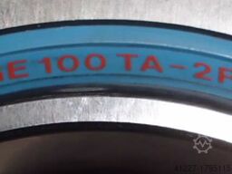 SKF GE 100 TA-2RS