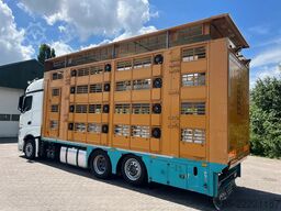 Mercedes-Benz Actros 2851 Finkl Livestock 1/2/3/4