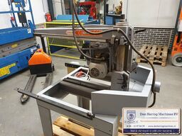 Maggi Radial junior 640