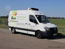MERCEDES-BENZ SPRINTER 313 carrier koeling