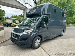 Fiat Ducato Böckmann 1-2 Pferde Hengsttrennung