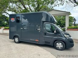 Fiat Ducato Böckmann 1-2 Pferde Hengsttrennung