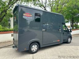 Fiat Ducato Böckmann 1-2 Pferde Hengsttrennung