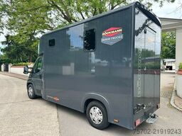 Fiat Ducato Böckmann 1-2 Pferde Hengsttrennung