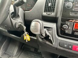 Fiat Ducato Böckmann 1-2 Pferde Hengsttrennung