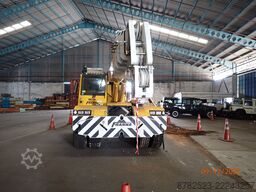 Terex Franna MAC25